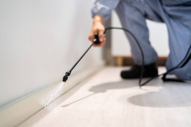 Licensed Mosquito Control service in Itasca, TX - Nex Pest Control