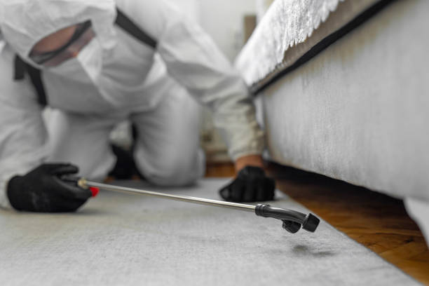 Professional Mosquito Control technician working in Itasca, TX