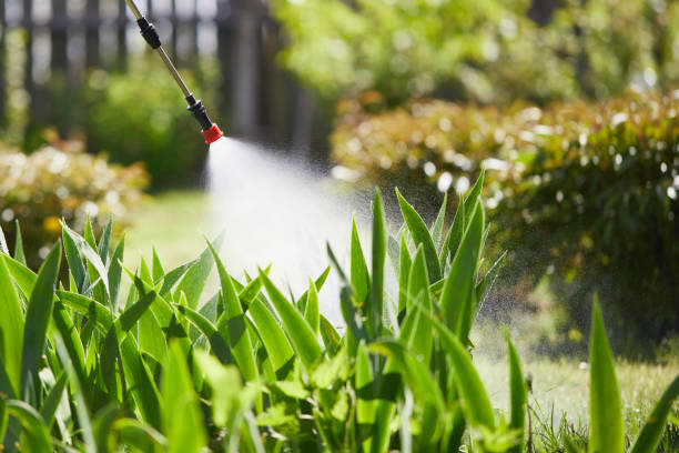 24/7 Emergency Mosquito Control experts in Itasca, TX