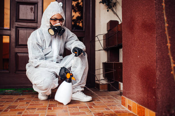 Reliable Mosquito Control contractor in Itasca, TX by Nex Pest Control